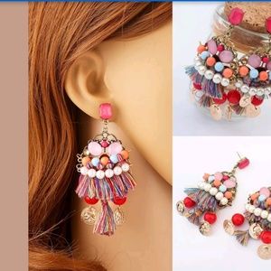Consigned🔥Festive Multicolored Tassel Earrings